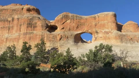 A close up of a large rock Stock Footage 156014400