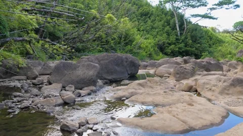 A close up of a large rock in a pool of water 動画素材 155583911