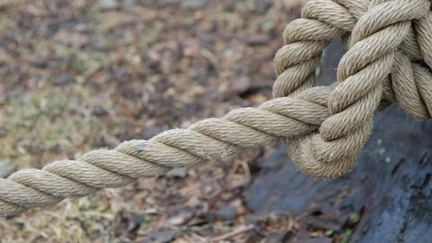 Close up of large rope tied to tree Stock Footage 104465416