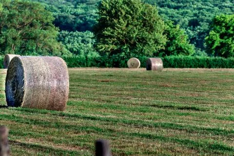 Close up of a large round hay bale on a harvested grass field near a distan.. Stock Photos