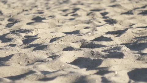 Close-up of large sand on the shore Stock Footage 135501521