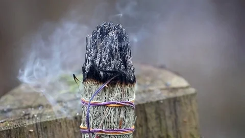 Close-up of a large smoking bundle of sage incense on a forest background. Stock Footage 75384919