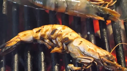 Close-up of Large Tiger Prawns Grilling on a Hot Charcoal Barbecue Stock Footage 338213375