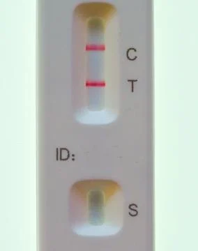 Close-up of a lateral flow test for Covid 19 showing a positive infected result Stock Photos