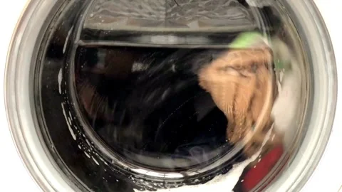 Close up laundry machine housework clean domestic household washing equipment Stock Footage 336589749