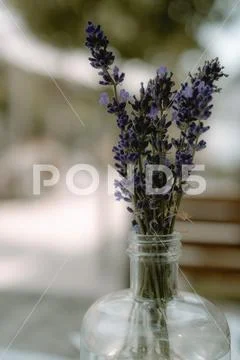 Close-up of lavender in a bottle with blurry background with earth colors Stock Photos