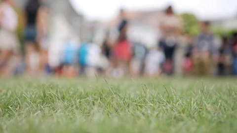 Close-up of lawn in the background of crowd walking. 4k Stock Footage 117826530
