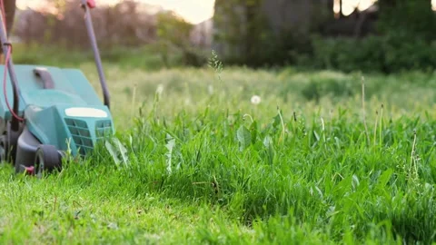 Close-up lawn mower in the backyard among thick green grass Vidéo 242171992