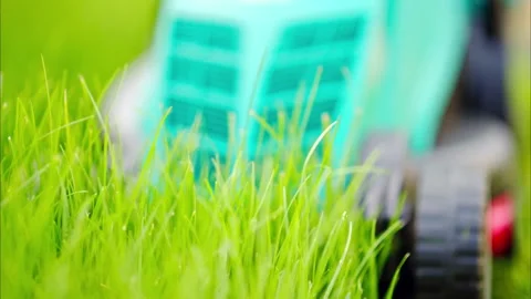 Close up of lawn mower cutting lush green grass in backyard garden on sunny.. Video stock 339350526