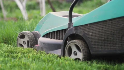 Close-up of a lawn mower. A man mows green grass in the backyard Stock Footage 238076225