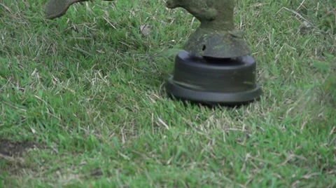 Close-up lawn mower triming grass Video stock 51757983
