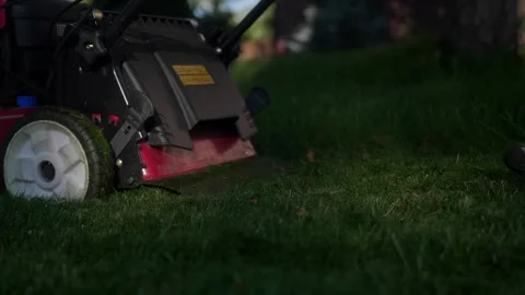 Close-Up Lawn Mowing with Red Mower and Casual Footwear in Lush Green Grass Video stock 345011727