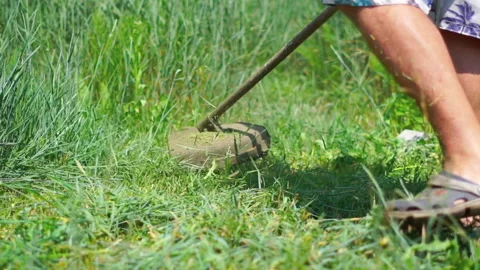 Close up lawn string trimmer cutting grass at the backyard. Summer lawn care Stock-Footage 199664884