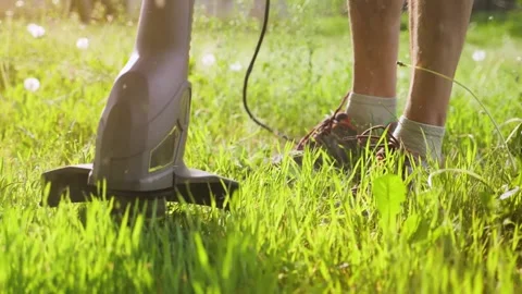 Close-up of a lawn trimmer in the process of work Stock Footage 242171653