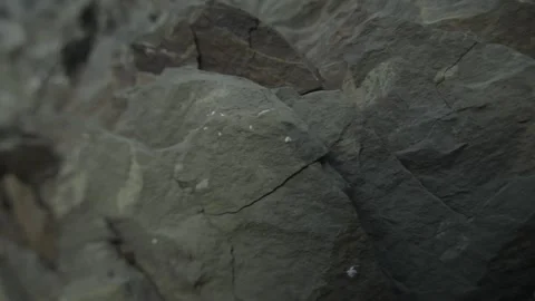 Close-up of Layered Sedimentary Rock Surface in Natural Setting Stock Footage 289640039