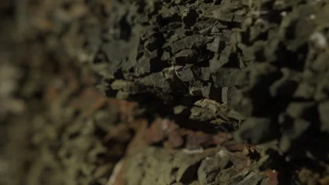 Close-Up of Layered Shale Rock Formation in Natural Light Stock Footage 289843712