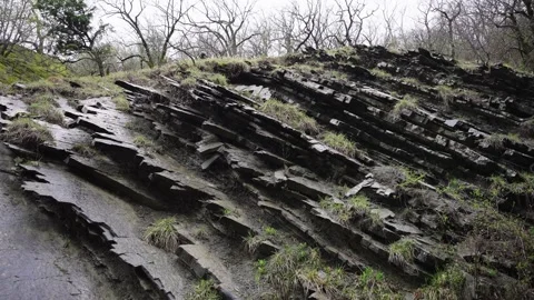 Close Up Of Layered Striated Rock Formation Along Riverside Bank Stock Footage 310229124