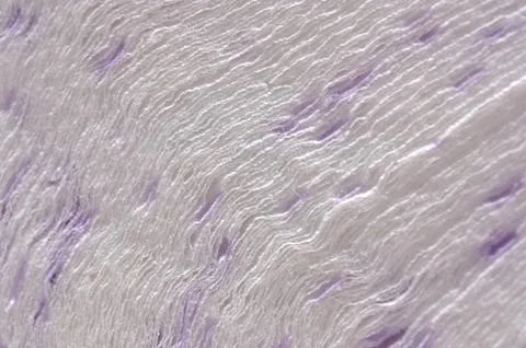 Close-up of layers of soft white and purple paper Stock Photos