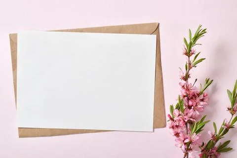 The close-up layout consists of a kraft envelope with blank paper and a delicate Stock Photos
