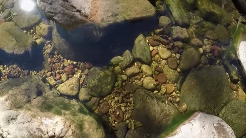 Close Up Leaf Floating In Creek- Slow Motion- West Fork Trail- Sedona AZ Stockbeeldmateriaal 312358183