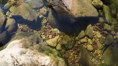 Close Up Leaf Floating In Creek- West Fork Trail- Sedona AZ Stock Footage 312358670