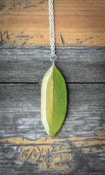 Close up leaf shaped pendant with chain concept photo Stock Photos