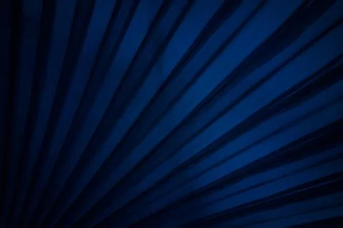 Close up Leaf Texture Background with Dark Blue Tone. Stock Photos