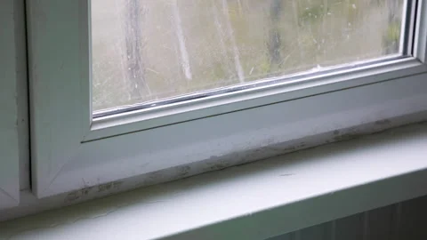 Close up of leaking moisture from damaged gap in windows. Stock Footage 229530187