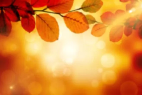 Close up of leaves during autumn Stock Illustration