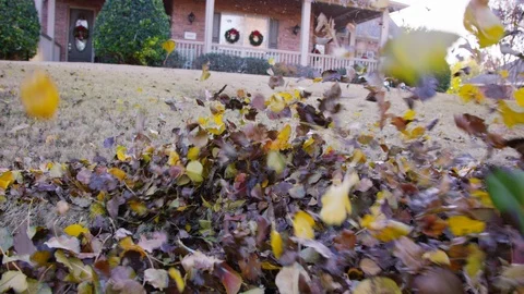 Close up of leaves getting blown across the yard with leaf blower 스톡 동영상 93960836