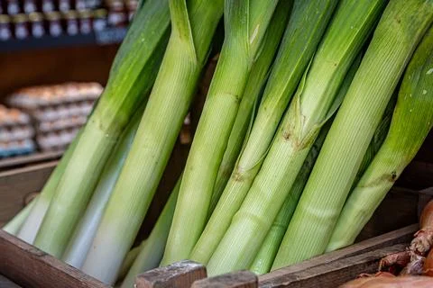 A close up of leeks ready to be sold Stock Photos