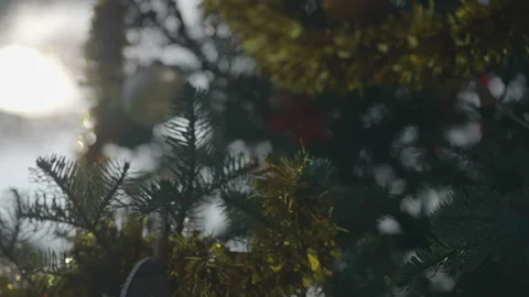 Close-up left to right pan of decorated Christmas tree, San Francisco Stock Footage 333615566