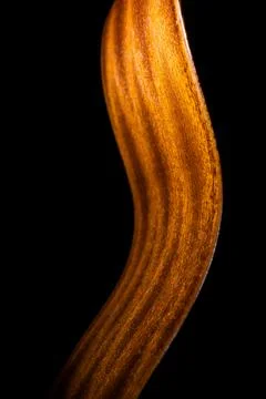 Close Up of Left Side of Ukulele Isolated in Darkness Stock Photos