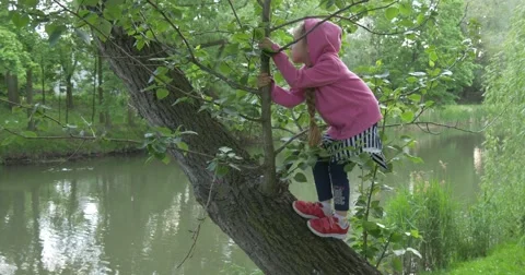 Close-up left side View Child Girl on The Lakeside Climbing a tree Stock Footage 51592885