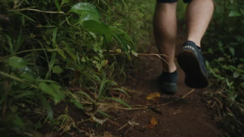 Close Up on Legs Hiking Through Forest with Large Leaves 4K Stock Footage 267048322