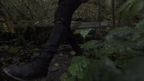 Close up of Legs Tromping Over Log in Forest Slow Motion Stock Footage 98858151
