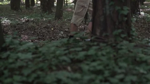 Close up of legs of two elderly people practicing nordic walking in the forest Stock Footage 82619444