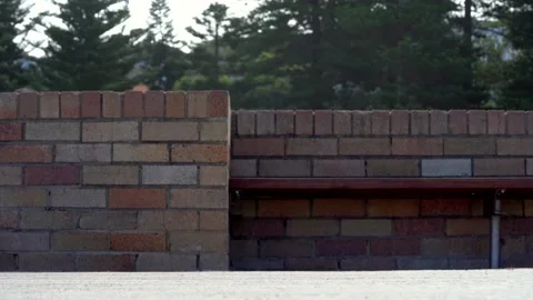Close up legs walking on beach side - barefoot - sport shoes - dogs Video stock 197447043