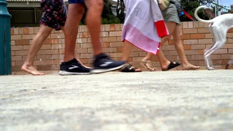 Close up legs walking on beach side - barefoot - sport shoes - dogs Video stock 197447071