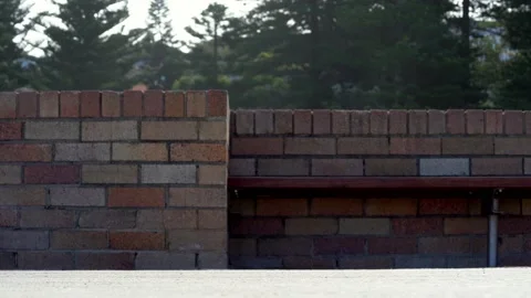 Close up legs walking on beach side - barefoot - sport shoes - dogs Video stock 197447132