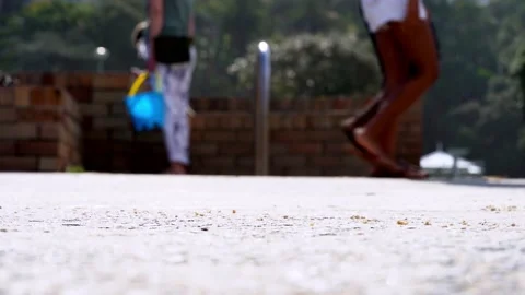 Close up legs walking on beach side - barefoot - sport shoes - dogs Video stock 197447149