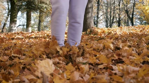 Close Up Legs Walking On Carpet Of Multicolored Fallen Leaves Stock Footage 167963888