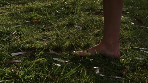Close-Up of Legs Walking at Sunset with Sunlight Streaming into the Camera 스톡 동영상 295970186
