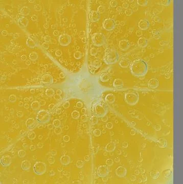Close-up of lemon in liquid with bubbles. Slice of yellow ripe lemon in Fotos de archivo