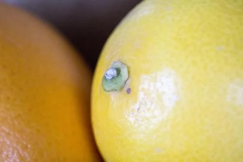 A close up of a lemon Stock Photos