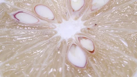 Close up Lemon Slices Video stock 97291470
