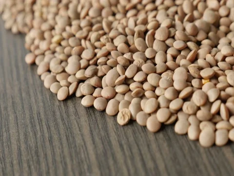 Close-up of Lens esculenta on the table Stock Footage 84022622