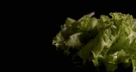 Close-up of lettuce on a black background in the kitchen vegetables Stock Footage 130362156