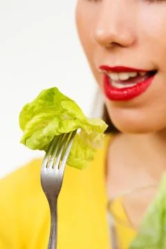 Close up of a lettuce leaf. Stock Photos