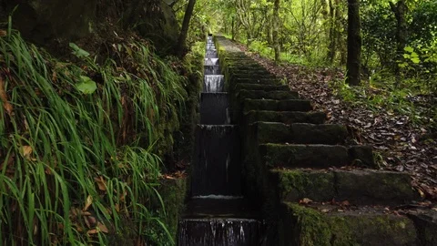 Close up of "Levada", small water channel in "Ribeiro Frio". Stock Footage 114965524